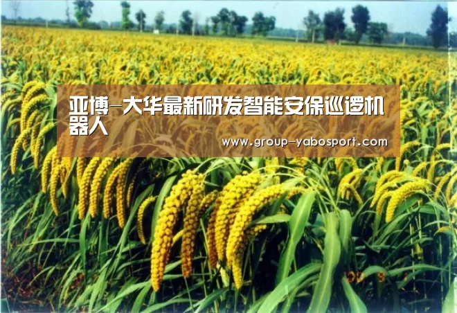 亚博-大华最新研发智能安保巡逻机器人(图1) 亚博官网