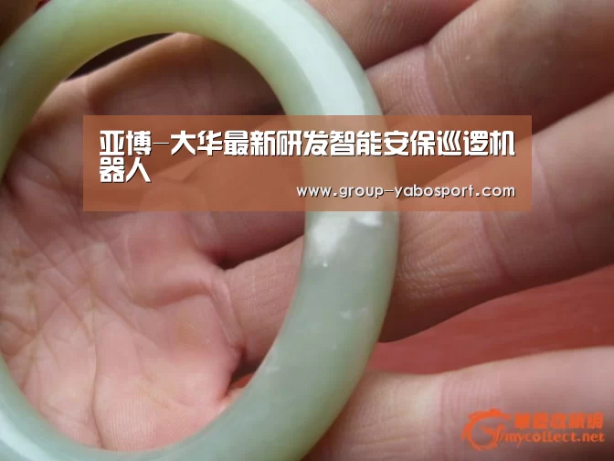 亚博-大华最新研发智能安保巡逻机器人(图3) 亚博