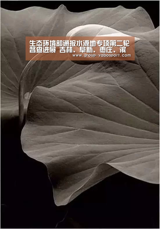 亚博官网