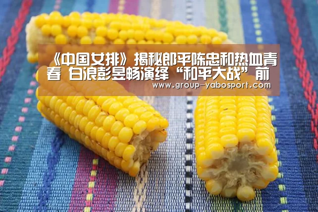 《中国女排》揭秘郎平陈忠和热血青春 白浪彭昱畅演绎“和平大战”前传“Yabo”(图1) 《中国女排》揭秘郎平陈忠和热血青春 白浪彭昱畅演绎“和平大战”前传“Yabo”(图1)