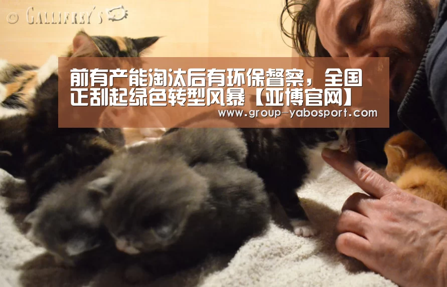前有产能淘汰后有环保督察,全国正刮起绿色转型风暴【亚博官网】(图3) 亚博