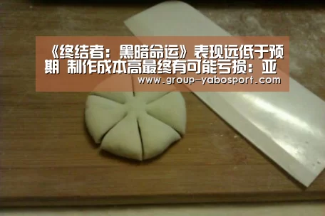 《终结者：黑暗命运》表现远低于预期 制作成本高最终有可能亏损：亚博体育(图2)