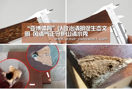 “亚博体育”以政治清明促生态文明 风清气正守护山清水秀(图3) 亚博官网